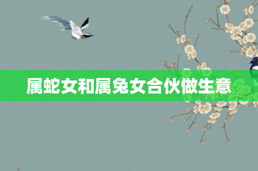 属蛇女和属兔女合伙做生意