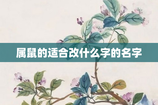 属鼠的适合改什么字的名字