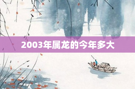 2003年属龙的今年多大