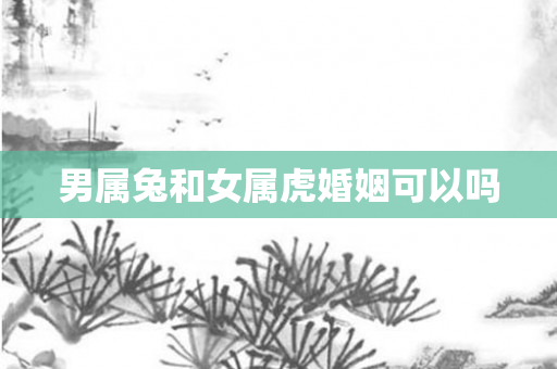 男属兔和女属虎婚姻可以吗