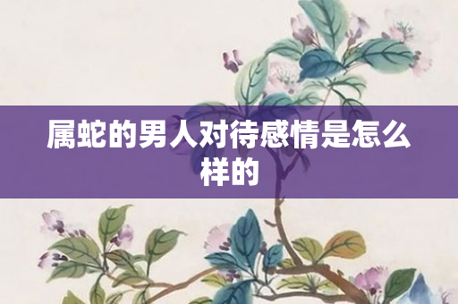 属蛇的男人对待感情是怎么样的