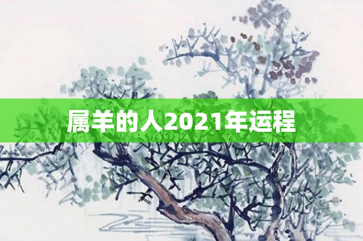 属羊的人2021年运程