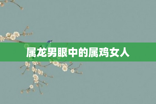 属龙男眼中的属鸡女人