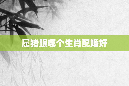 属猪跟哪个生肖配婚好