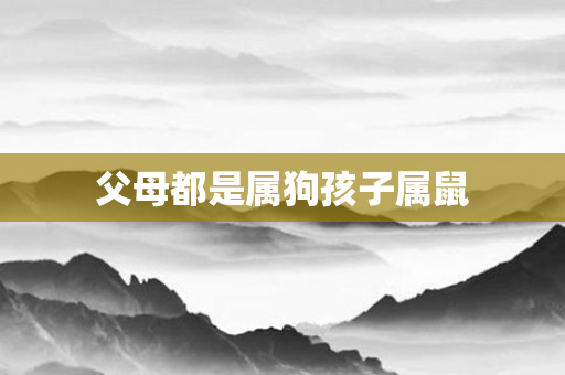 父母都是属狗孩子属鼠