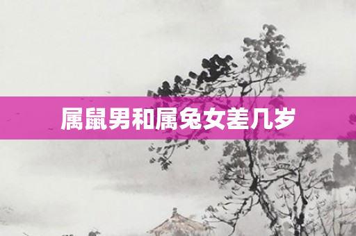 属鼠男和属兔女差几岁