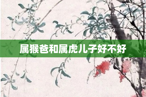 属猴爸和属虎儿子好不好
