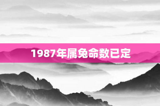 1987年属兔命数已定