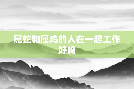 属蛇和属鸡的人在一起工作好吗