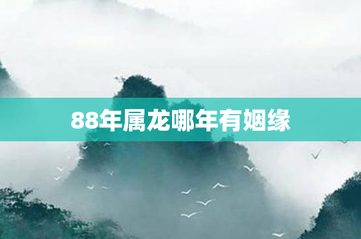 88年属龙哪年有姻缘
