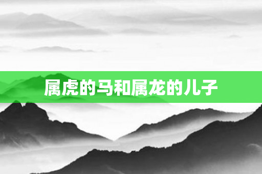 属虎的马和属龙的儿子