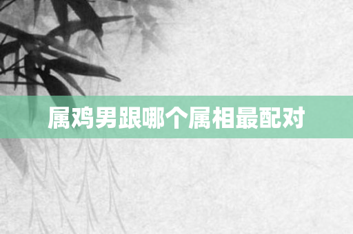 属鸡男跟哪个属相最配对