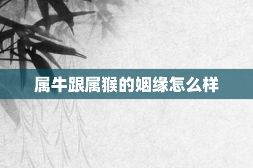 属牛跟属猴的姻缘怎么样