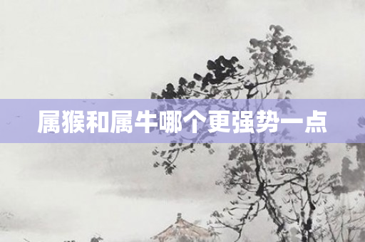 属猴和属牛哪个更强势一点