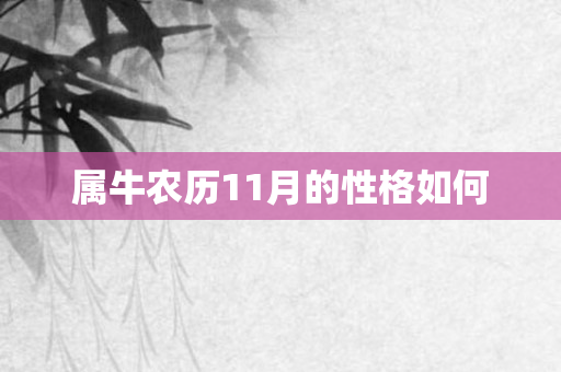 属牛农历11月的性格如何