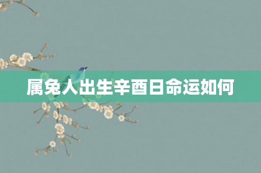 属兔人出生辛酉日命运如何