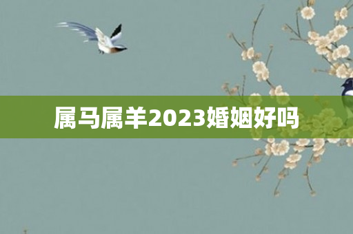 属马属羊2023婚姻好吗