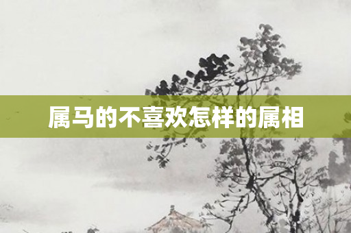 属马的不喜欢怎样的属相