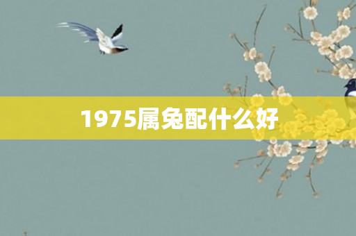 1975属兔配什么好