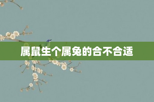 属鼠生个属兔的合不合适