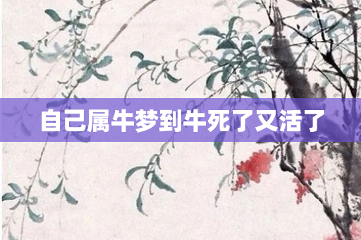 自己属牛梦到牛死了又活了