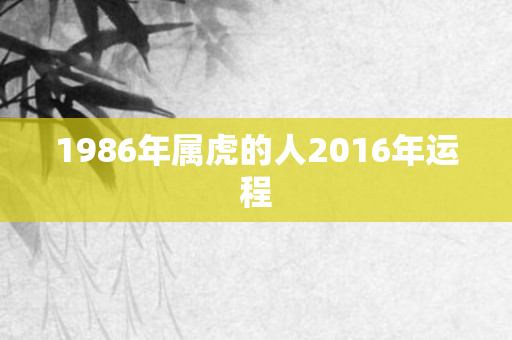 1986年属虎的人2016年运程