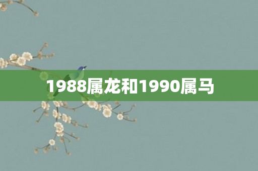 1988属龙和1990属马