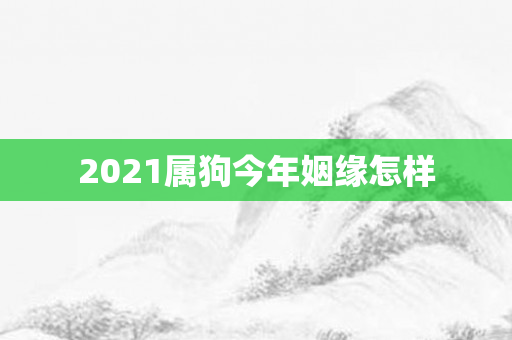 2021属狗今年姻缘怎样
