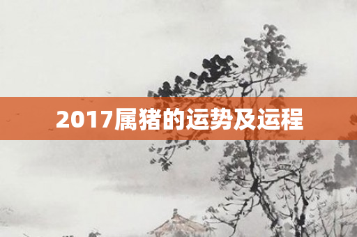 2017属猪的运势及运程