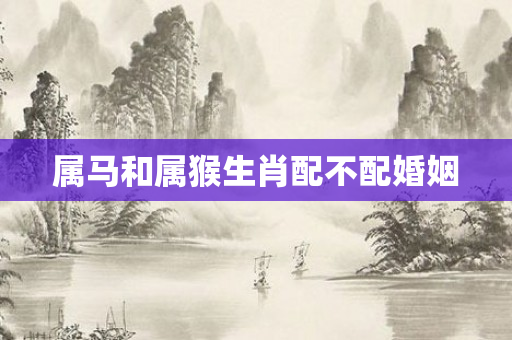 属马和属猴生肖配不配婚姻
