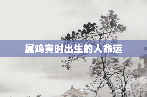 属鸡寅时出生的人命运