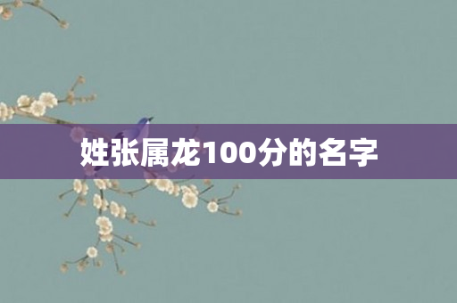 姓张属龙100分的名字