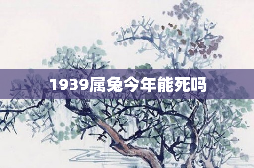 1939属兔今年能死吗