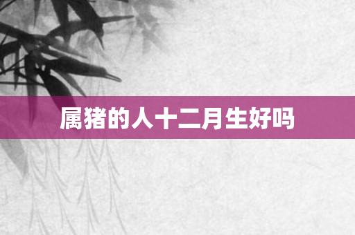 属猪的人十二月生好吗