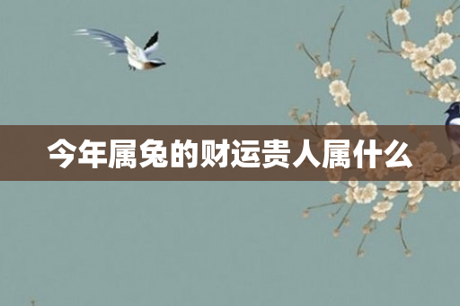 今年属兔的财运贵人属什么