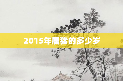 2015年属猪的多少岁