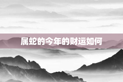 属蛇的今年的财运如何