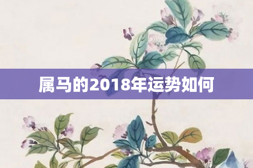 属马的2018年运势如何