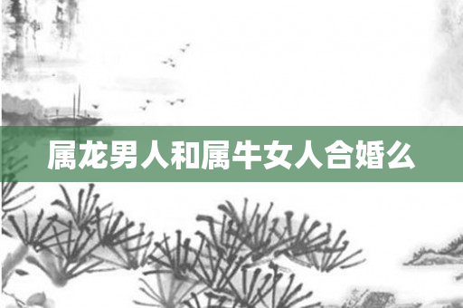 属龙男人和属牛女人合婚么