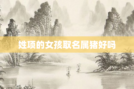姓项的女孩取名属猪好吗