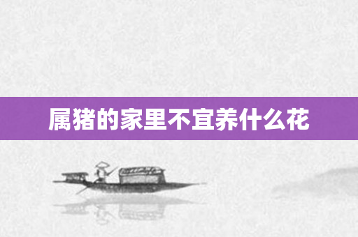 属猪的家里不宜养什么花