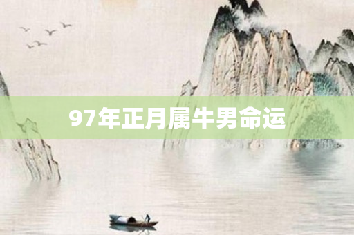 97年正月属牛男命运