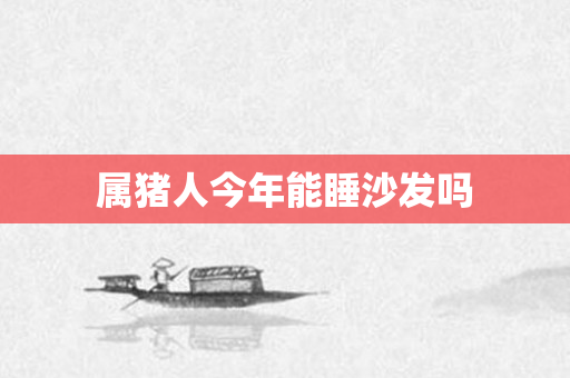 属猪人今年能睡沙发吗