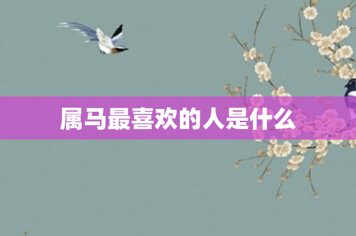 属马最喜欢的人是什么