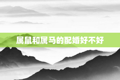属鼠和属马的配婚好不好