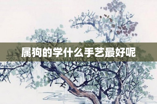 属狗的学什么手艺更好呢