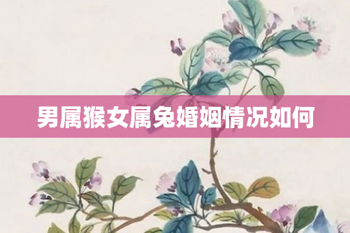 男属猴女属兔婚姻情况如何