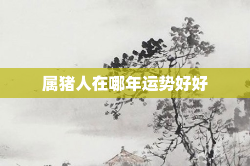 属猪人在哪年运势好好
