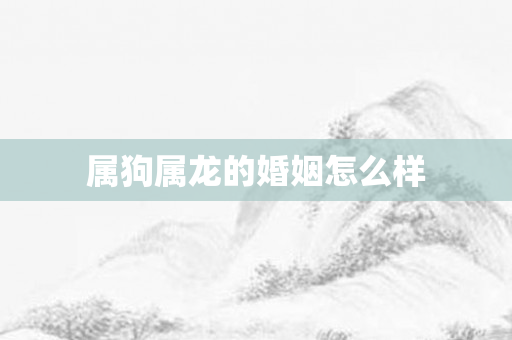 属狗属龙的婚姻怎么样