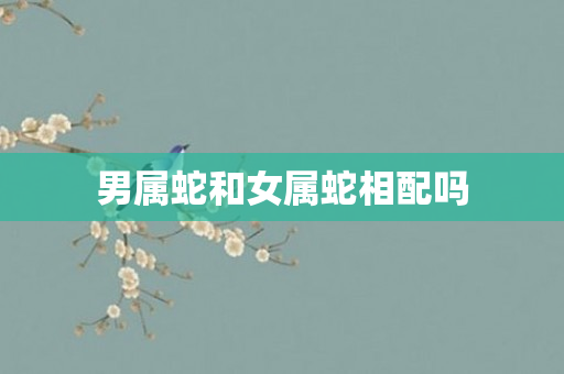 男属蛇和女属蛇相配吗